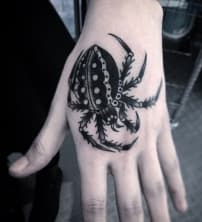 aspider