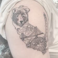 a bear